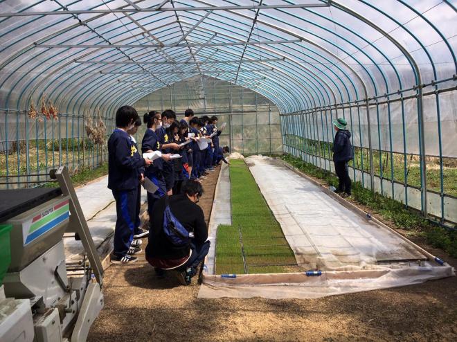 米づくりの担い手が減少傾向にある長野県信濃町にて 「農業体験」地域授業が地域活性化へ
