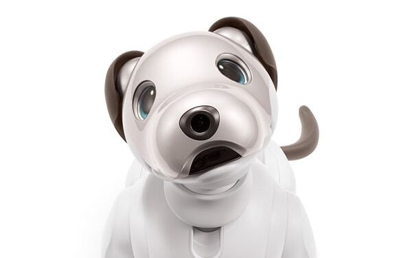 「aibo」の瞳はOLED（有機ELディスプレイ）で表現され、まばたきはもちろん、人を視線で追うこともできる。平面ディスプレイの表面は球面レンズで覆われ、本物の瞳のように見える