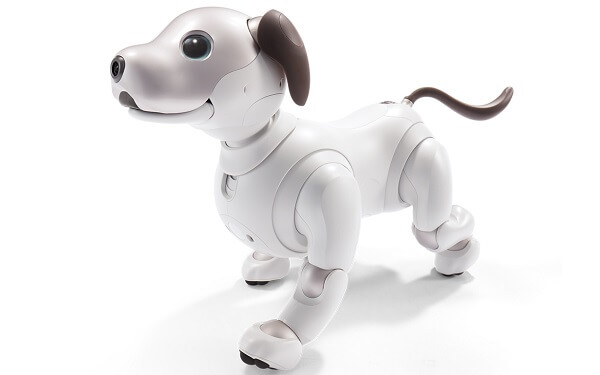 「aibo」は、部品を接合しているビスが外から見えない。また、人間の肩にあたる四肢の付け根の部分や首元にカバーを取り付け、指などの挟み込みを防止するなど、安全上の配慮も見られる