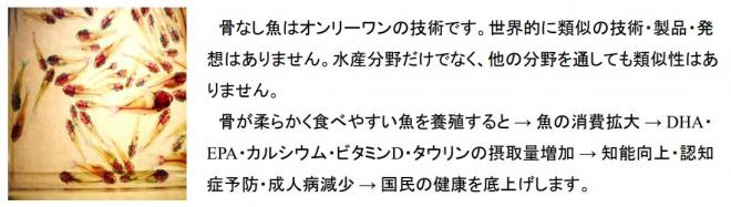 【2024年大学見本市】骨なし魚の養殖