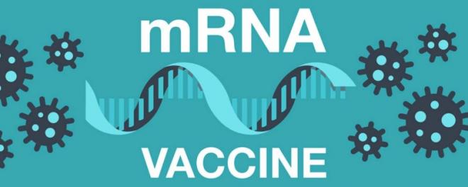 mRNAワクチンおよびRNAi治療薬市場: 2031年までの年平均成長率31.3％で急成長